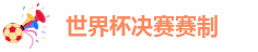 世界杯决赛赛制
